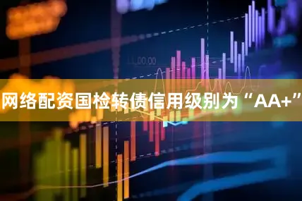 网络配资国检转债信用级别为“AA+”
