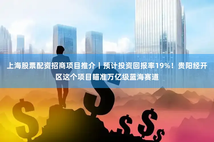 上海股票配资招商项目推介丨预计投资回报率19%！贵阳经开区这个项目瞄准万亿级蓝海赛道