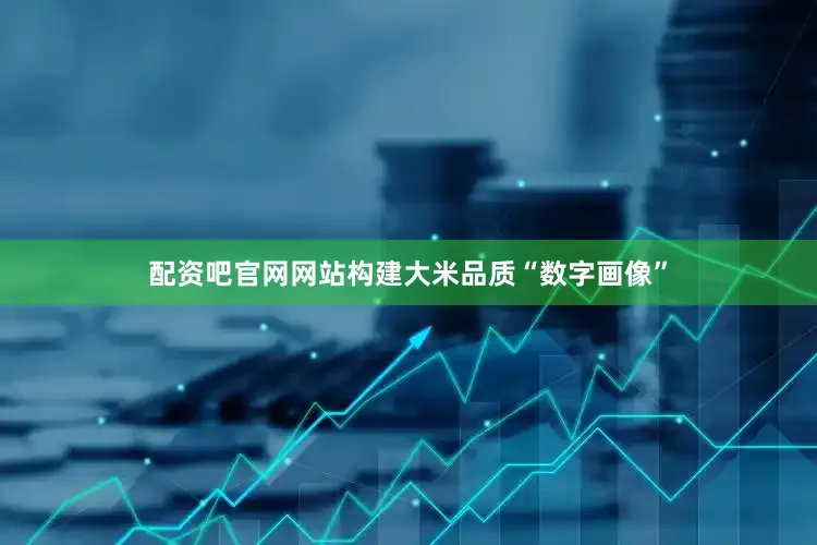 配资吧官网网站构建大米品质“数字画像”