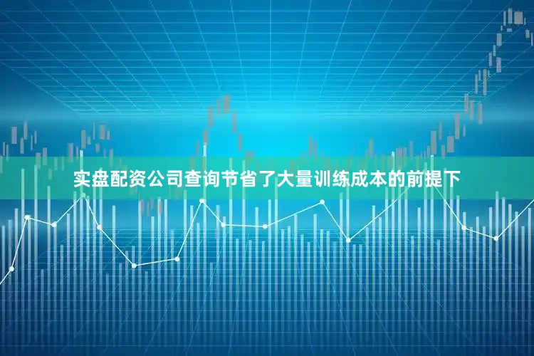 实盘配资公司查询节省了大量训练成本的前提下