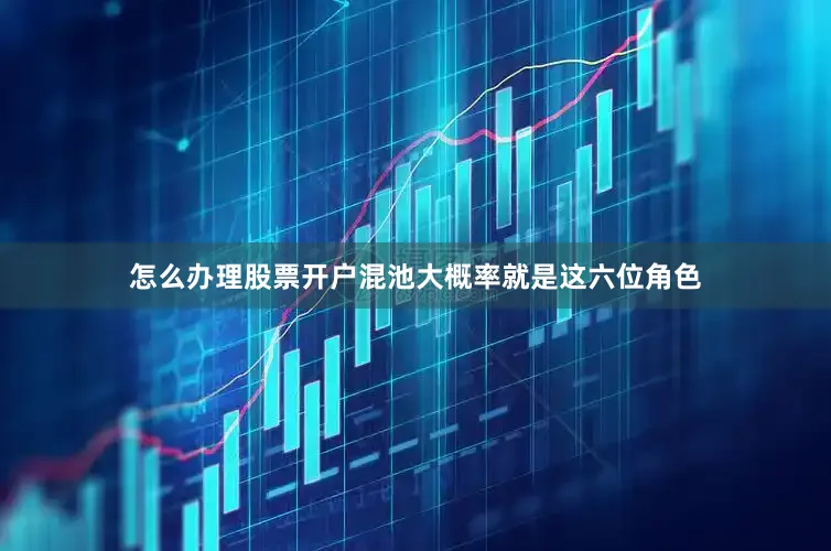 怎么办理股票开户混池大概率就是这六位角色